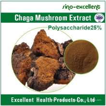 Chaga Mushroom Extract / Inonotus Obliquus Extract